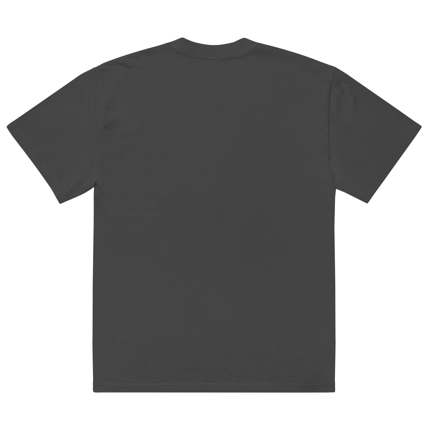 Romans 8:31 faded t-shirt